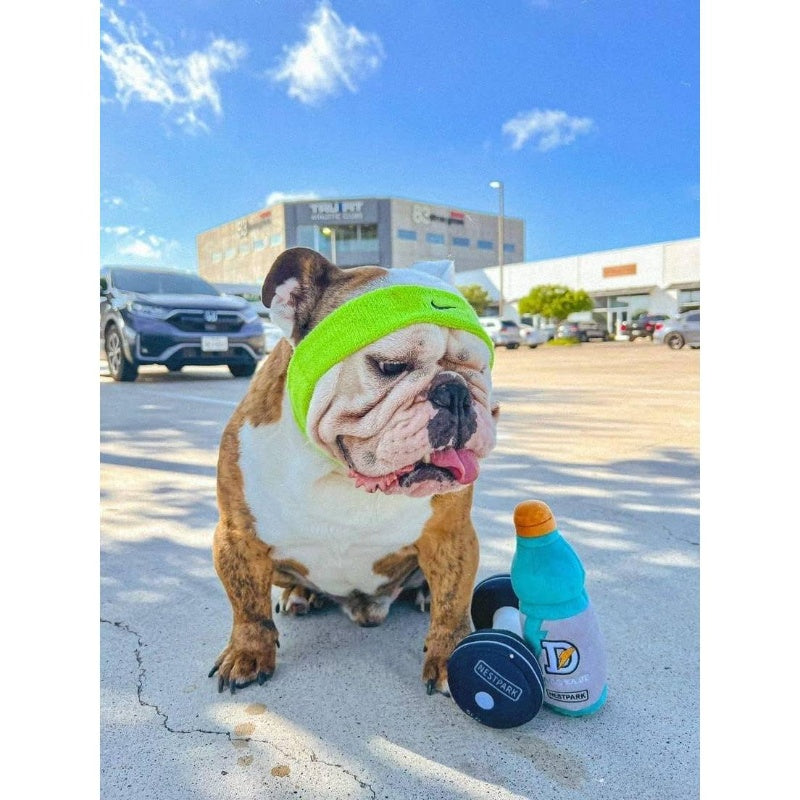 Fitness Funny Dog Toys - Doggyade and Doggy Dumbbell Workout Parody Cute Dog Toys - 2 Pack Workout Pack