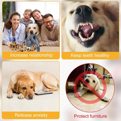 10 Pcs Dog Squeaky Toys No Stuffing Crinkle Pet Aggressive Chewers Plush Teething Puppy Squeak Toys