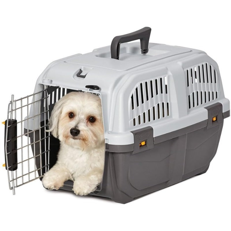 Skudo 19-Inch Hard Plastic Dog Carrier Crate for Small Pets - Ventilated Kennel Carrier for Toy Dogs up to 6 lbs