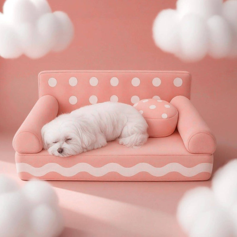 24 Inch Cookie-Shaped Dog Sofa Bed with Removable Cover - Soft Supportive Kitten & Puppy Couch