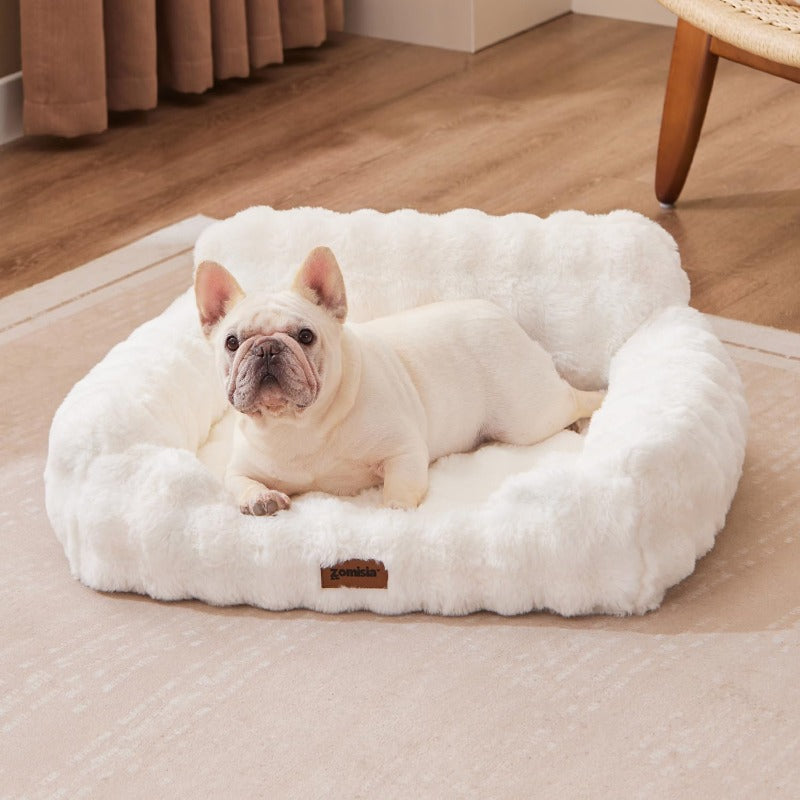 Orthopedic Cat & Small Dog Sofa Bed