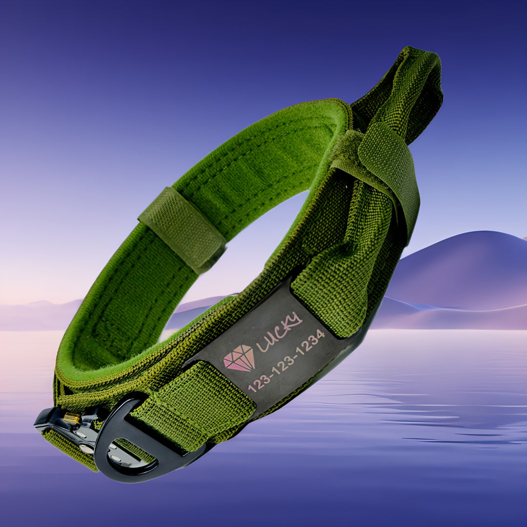 Personalized Name ID brand Tactical Dog Collar AdjustableTraining Nylon Dog Collar with Control Handle and Heavy Metal Buckle Green