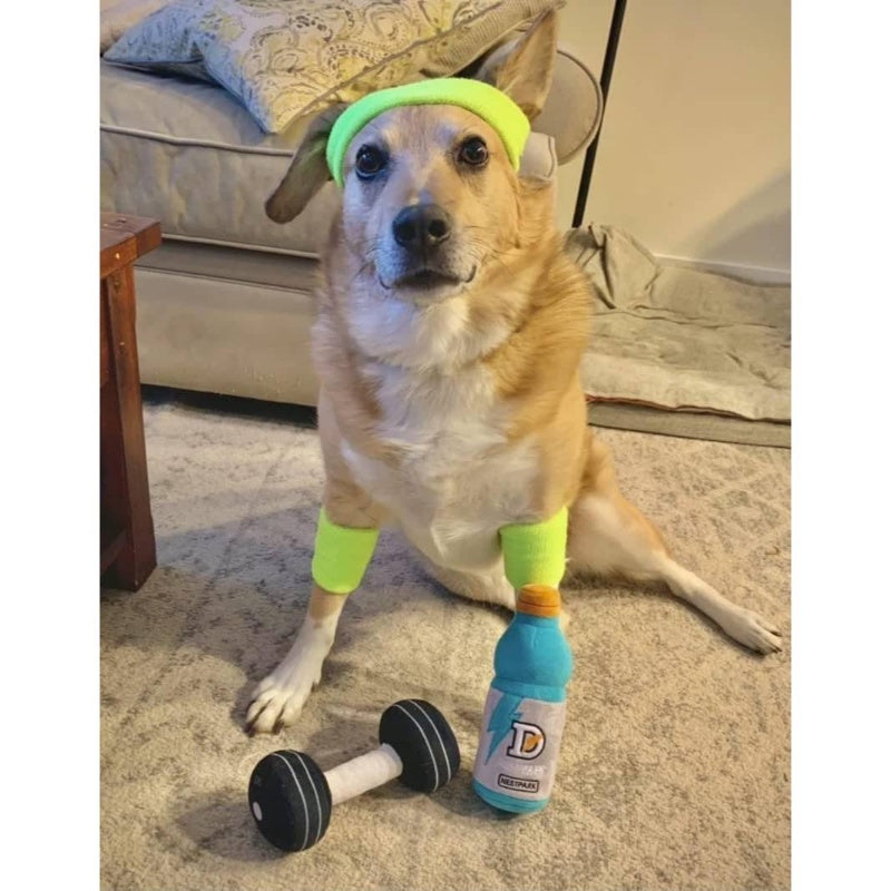 Fitness Funny Dog Toys - Doggyade and Doggy Dumbbell Workout Parody Cute Dog Toys - 2 Pack Workout Pack