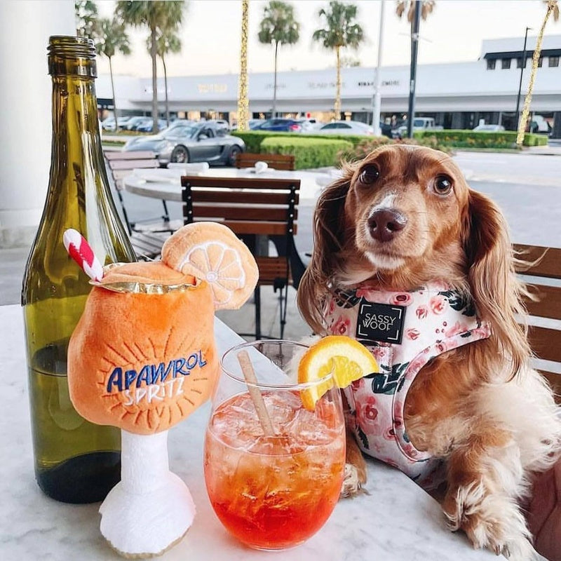 Apawrol Spritz Plush Squeaker - Lemon-Lime Soda -Shaped Interactive Stuffed Animal with Squeaker