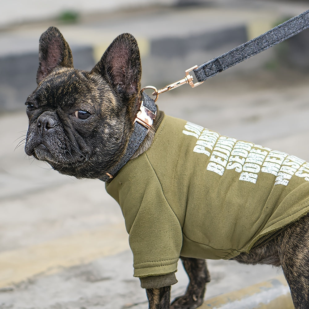 Wear-Resistant Striped Nylon Collar British-Inspired Striped Nylon Dog Collar with Durable Metal Buckle - Wear-Resistant