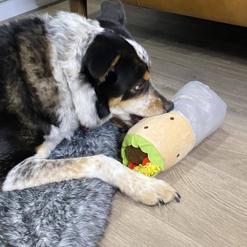 3 Pack Plush Dog Toys Set with Crinkle & Squeaky Sounds - Food-Shaped Stuffed Puppy Chew Toys