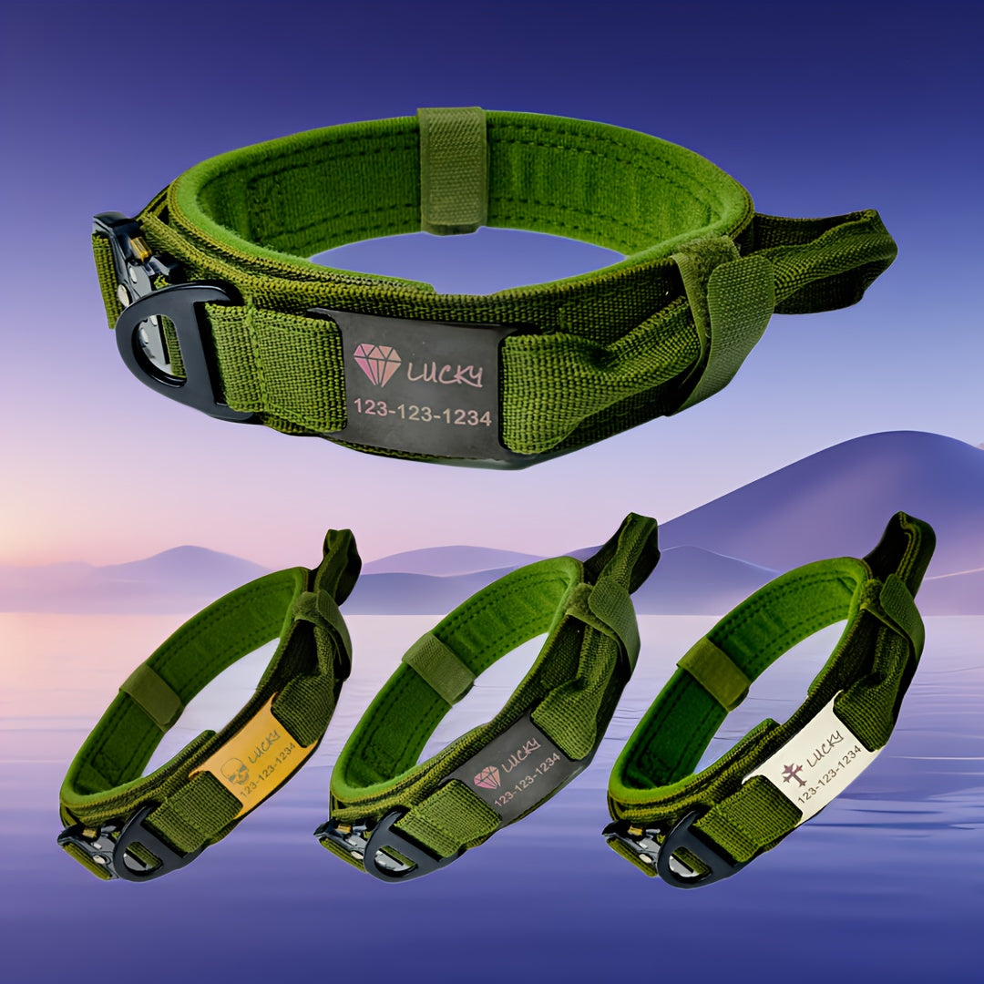 Personalized Name ID brand Tactical Dog Collar AdjustableTraining Nylon Dog Collar with Control Handle and Heavy Metal Buckle Green